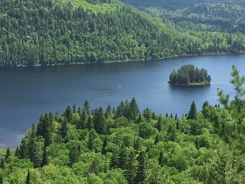 Ile-aux-Pins - from afar - Lac Wapizagonke - Parc national de la Mauricie National Park.jpg